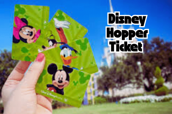 Do I Really Need a Park Hopper Ticket at Disney World?