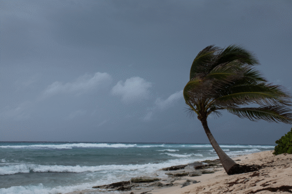 Hurricane Erin Destroys Jersey Shore’s Historic Sea King Mast at Barnegat Light