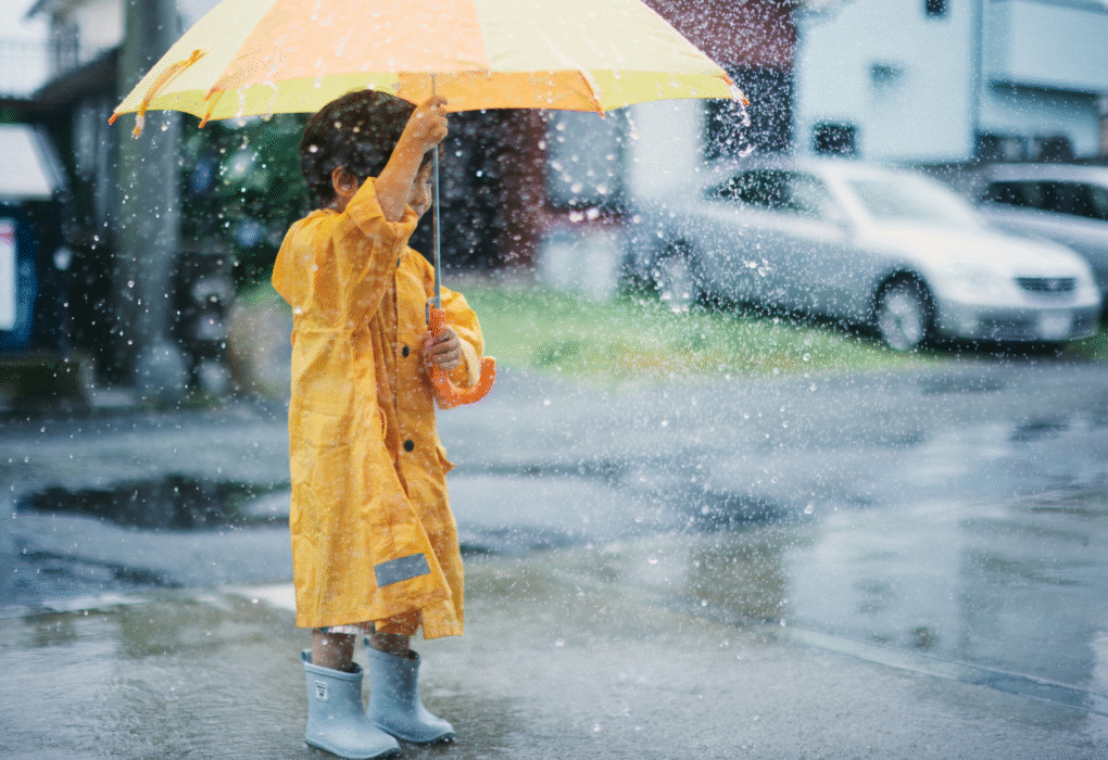 Rain-Fall in NJ