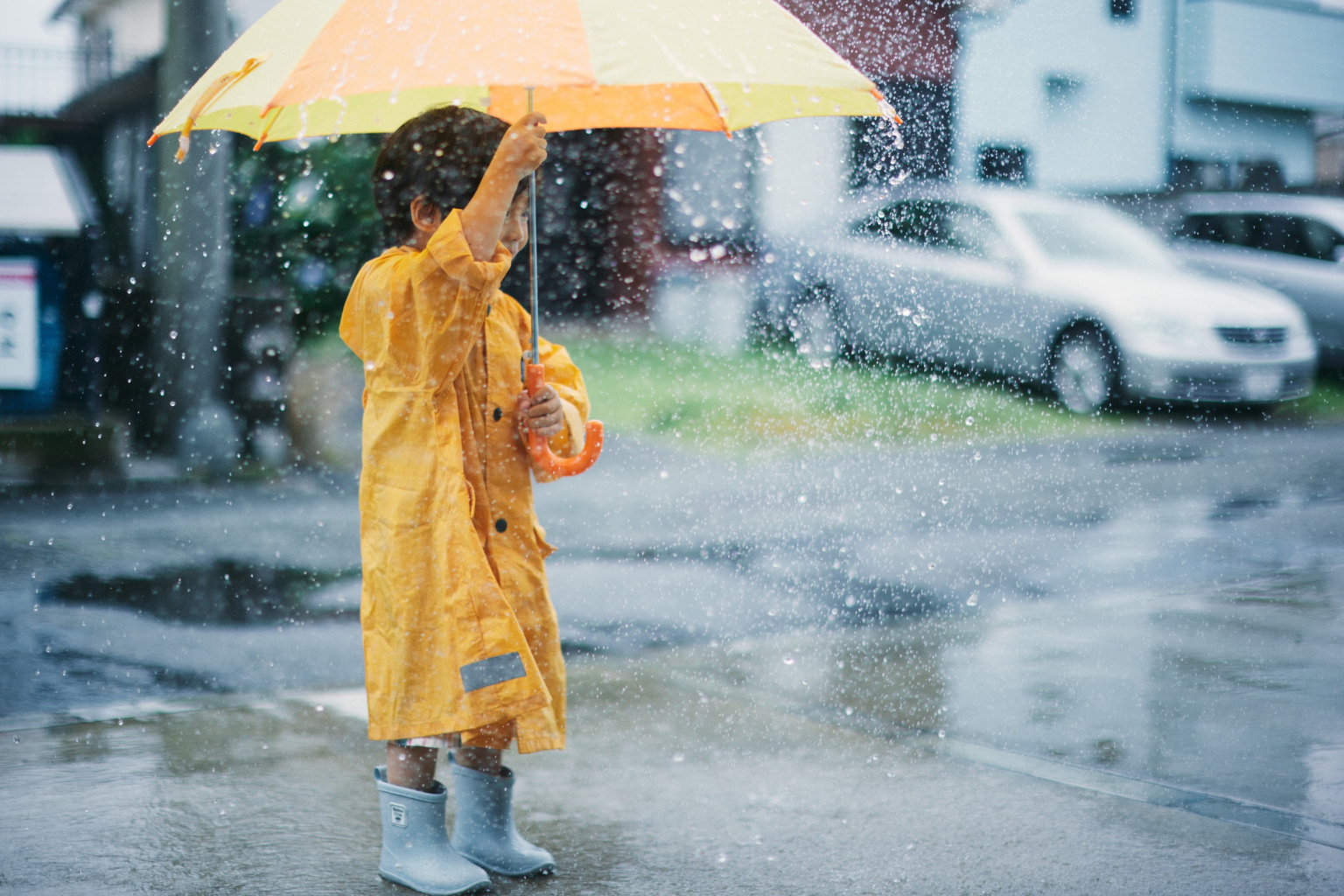 Rain-Fall in NJ