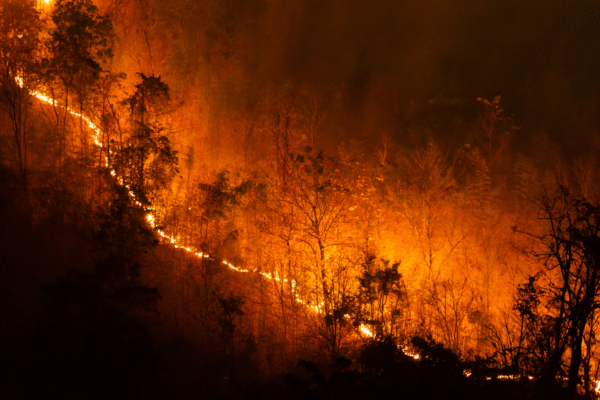 Smoke in the Sunlight: Canadian Wildfires Set to Blur New Jersey Skies on Monday
