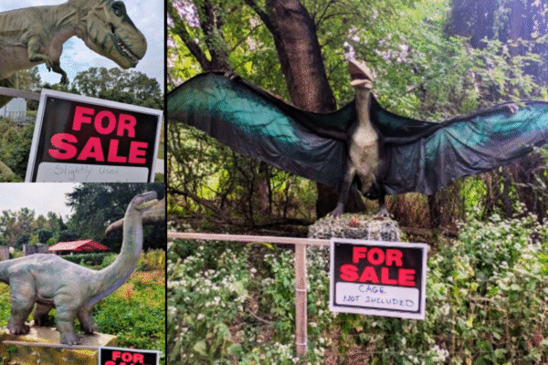 park selling animatronic creatures