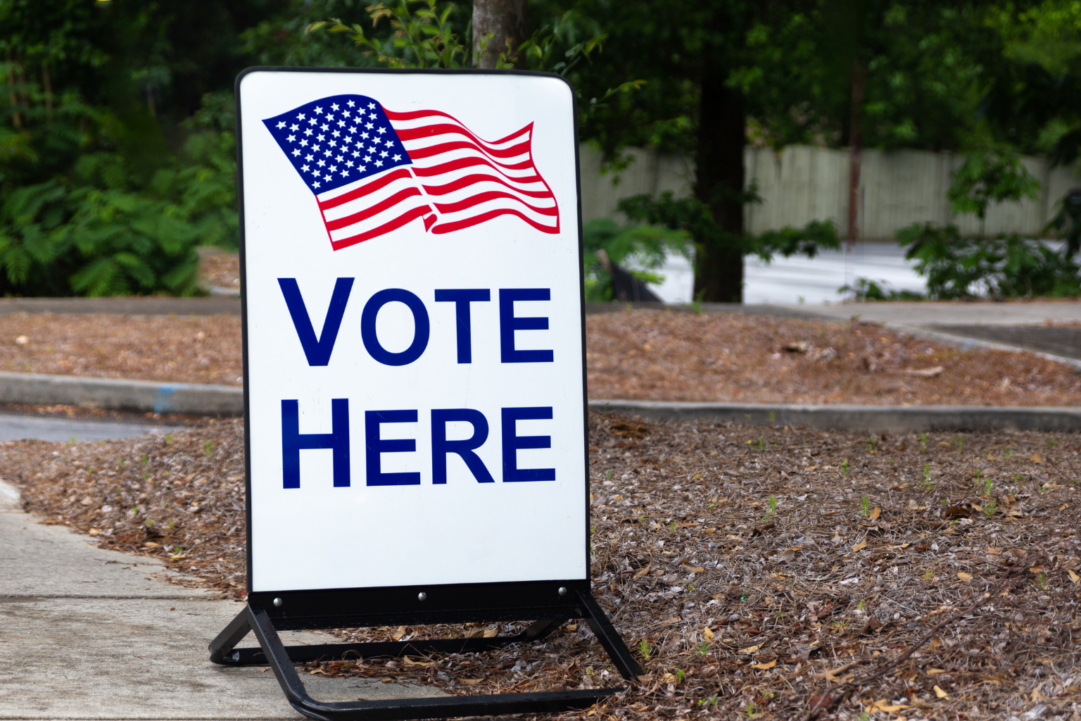 vote here