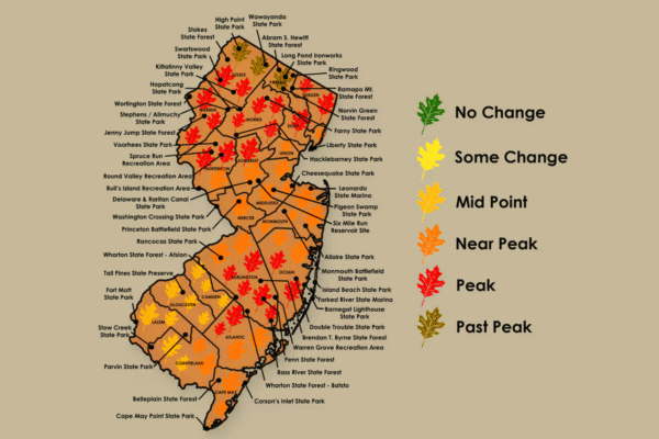 Late-October Foliage Peaks in New Jersey’s Northern and Southeastern Counties