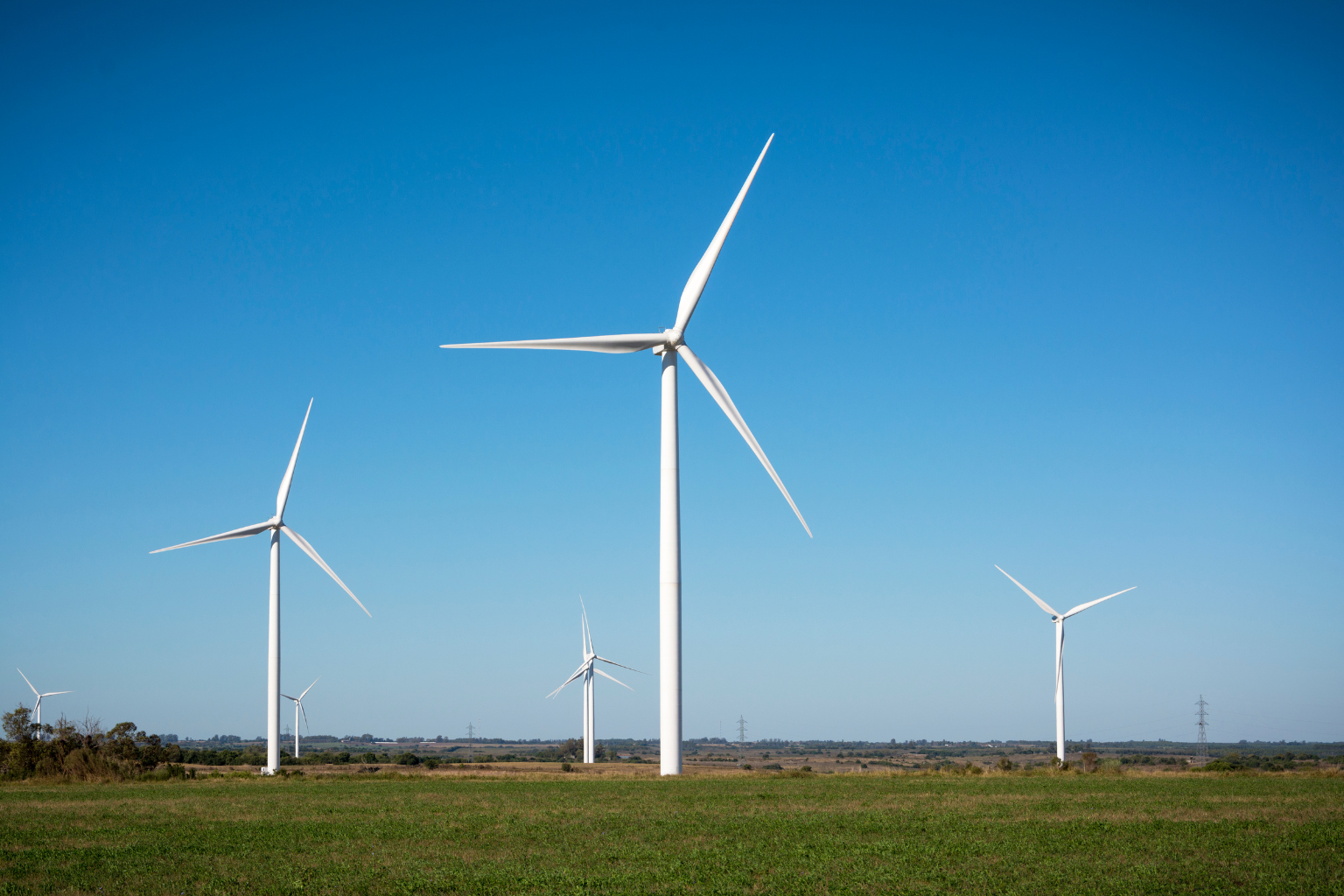 wind farm